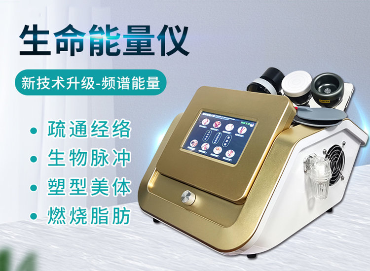 升级款生命能量仪.jpg